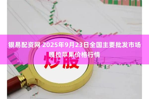 银易配资网 2025年9月23日全国主要批发市场嘎拉苹果价格行情
