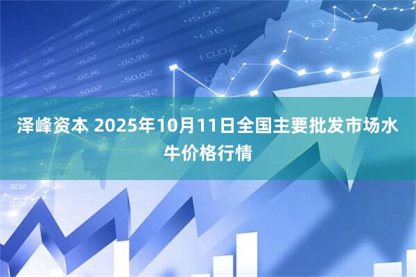 泽峰资本 2025年10月11日全国主要批发市场水牛价格行情