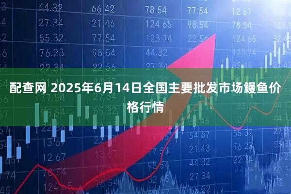 配查网 2025年6月14日全国主要批发市场鳗鱼价格行情