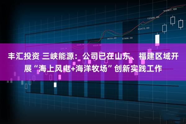 丰汇投资 三峡能源：公司已在山东、福建区域开展“海上风电+海洋牧场”创新实践工作
